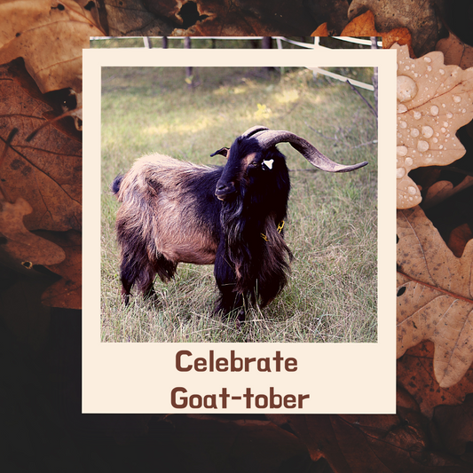 Welcome To Goat-tober 2023
