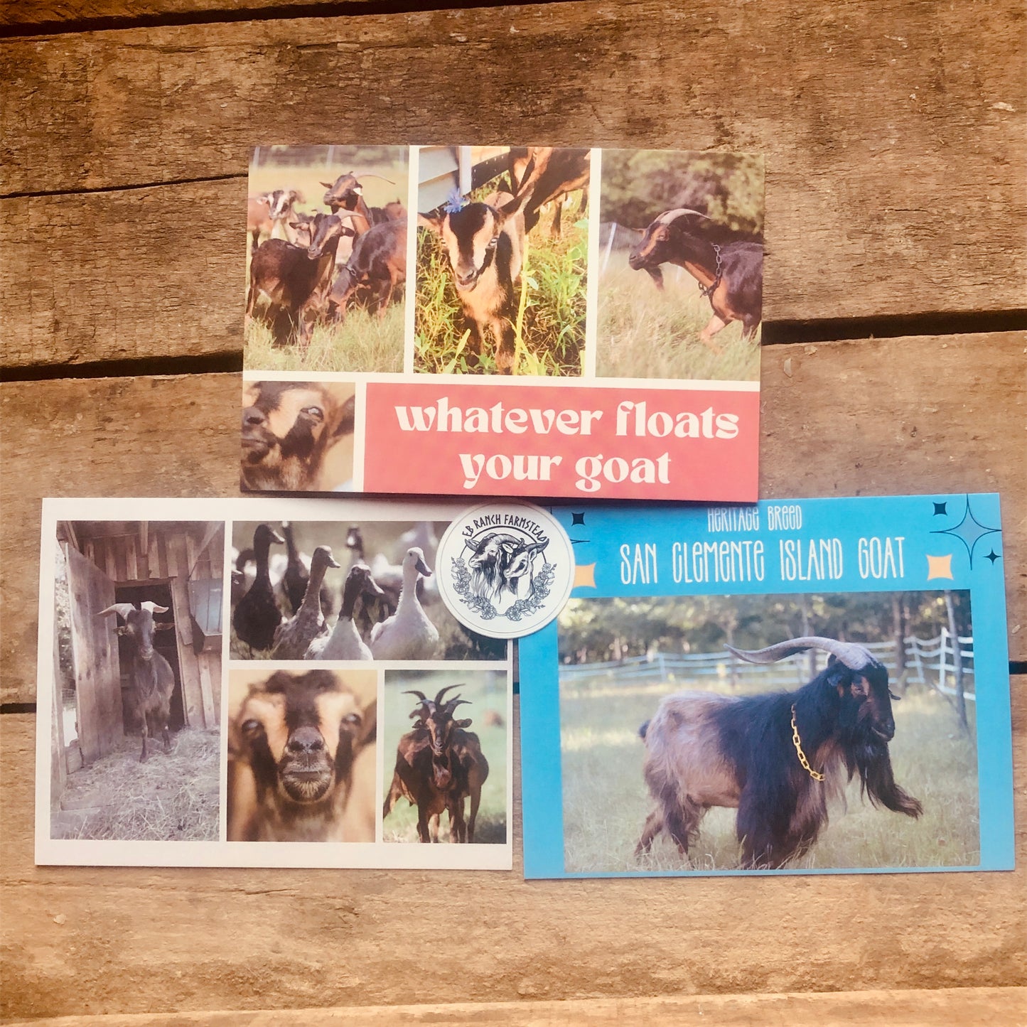 EB Ranch Farmstead Postcard Collection